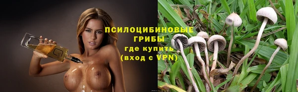 дурь Сосновка