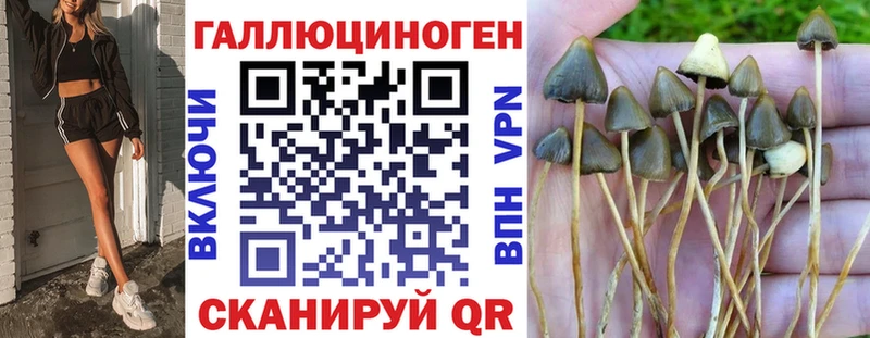 кракен ССЫЛКА  что такое наркотик  Кола  Галлюциногенные грибы Psilocybe 